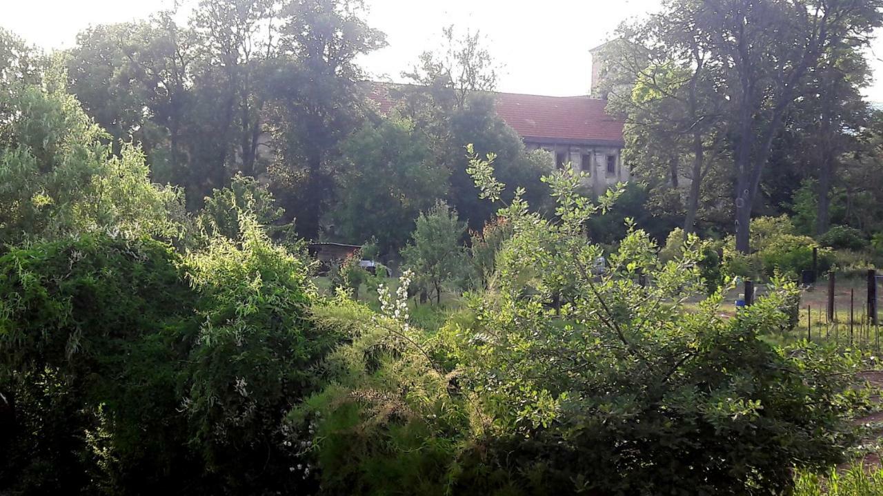 Pivovar Spitt Zahorany Guest House Litomerice Luaran gambar